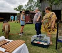 Arc in the Park 2017 photo 43