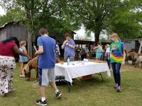 Arc in the Park 2017 photo 46