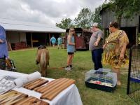 Arc in the Park 2017 photo 52