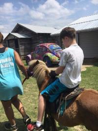 Arc in the Park 2017 photo 2