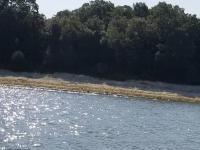 Enid Lake 2017 photo 15