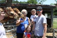 2019 Arc In The Park photo 80