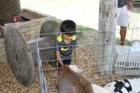2019 Arc In The Park photo 81