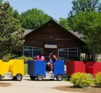 2019 Arc In The Park photo 100