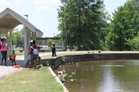 2019 Arc In The Park photo 65