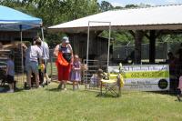 2019 Arc In The Park photo 86