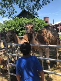 2019 Arc In The Park photo 176