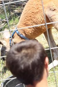 2019 Arc In The Park photo 153