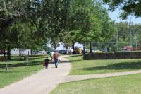 2019 Arc In The Park photo 56