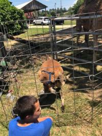2019 Arc In The Park photo 170