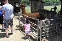 2019 Arc In The Park photo 82