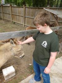 2021 Community Picnic photo 7